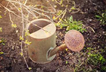 Similar image 7757406