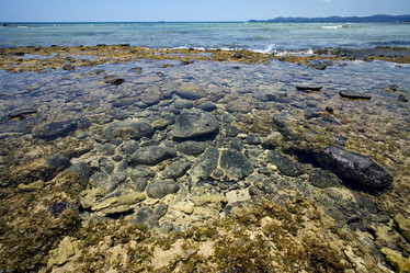 Similar image 7757417