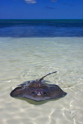 Similar image 7757419