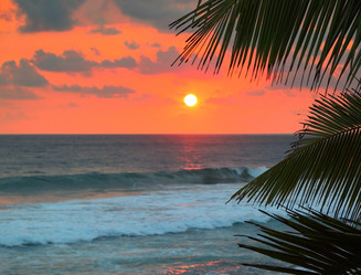 Similar image 7757455