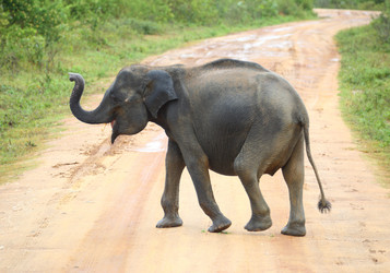 Similar image 7757493