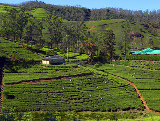 Similar image 7757505