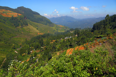 Similar image 7757521