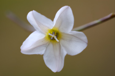 Similar image 7757527