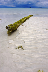 Similar image 7757561