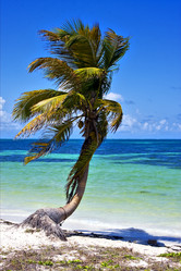 Similar image 7757563