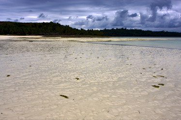 Similar image 7757564