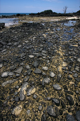 Similar image 7757588