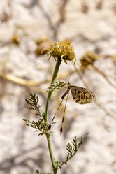 Similar image 7757693