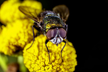 Similar image 7757694