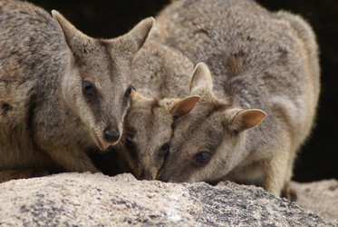 Similar image 7757697