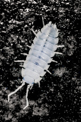 Similar image 7757698