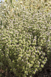 Similar image 7757718