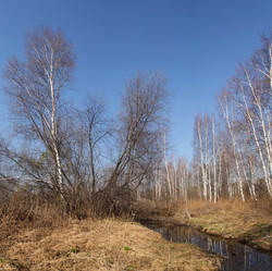 Similar image 7757727