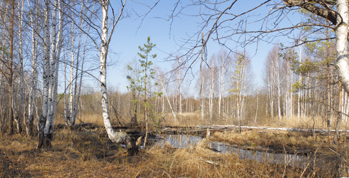 Similar image 7757728