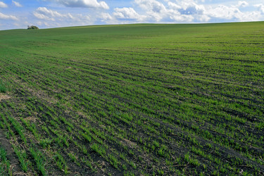 Similar image 7757733