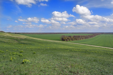 Similar image 7757741