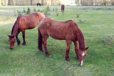 Similar image 7757752