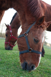 Similar image 7757754