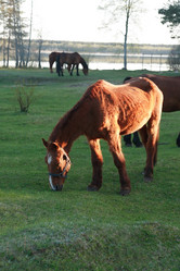 Similar image 7757757