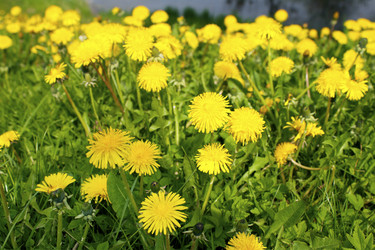 Similar image 7757779