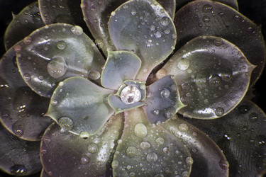 Similar image 7757852