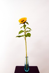 Similar image 7757854