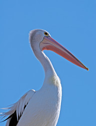 Similar image 7757855