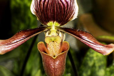 Similar image 7757859