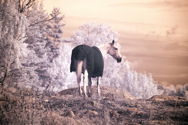 Similar image 7757864