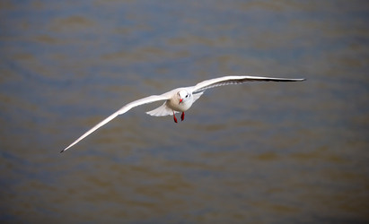 Similar image 7757869