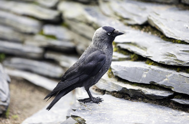 Similar image 7757877