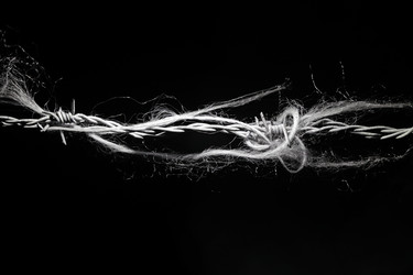 Similar image 7757879