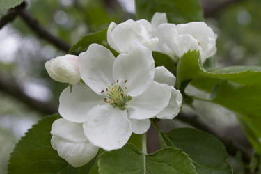 Similar image 7757885