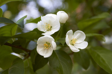 Similar image 7757888