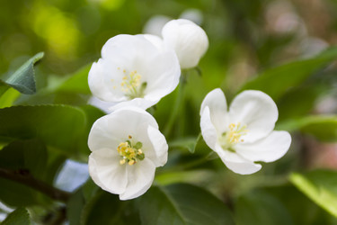 Similar image 7757889