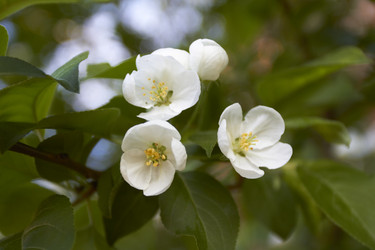 Similar image 7757890