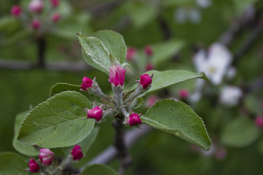 Similar image 7757892