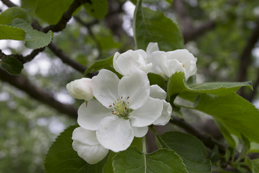 Similar image 7757893