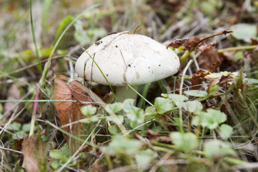 Similar image 7757895