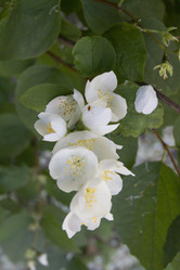 Similar image 7757905