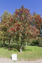 Similar image 7757907