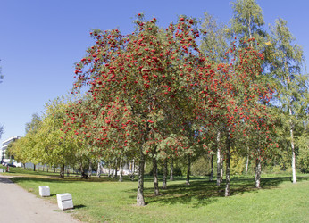 Similar image 7757909