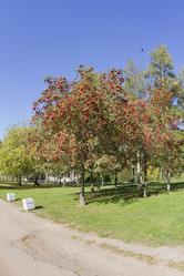 Similar image 7757910