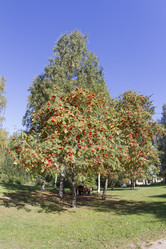 Similar image 7757912