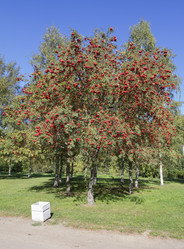 Similar image 7757914