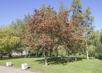 Similar image 7757915