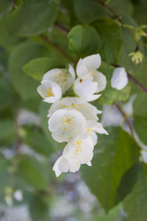 Similar image 7757916