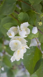 Similar image 7757917