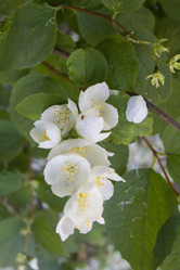 Similar image 7757918